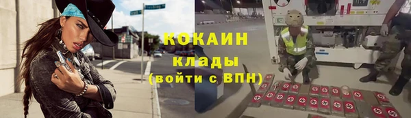 спайс Алзамай