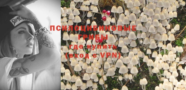героин Алексин