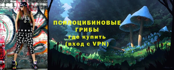 героин Алексин