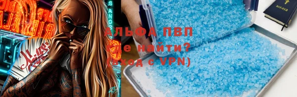 спайс Алзамай