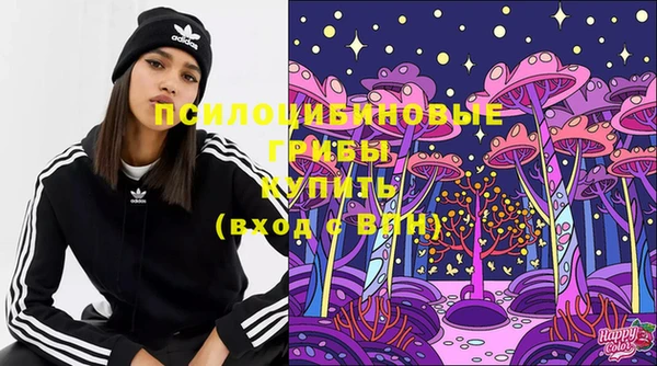 спайс Алзамай