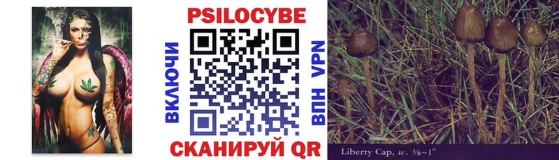 Галлюциногенные грибы Psilocybe  блэк спрут tor  Жуков 